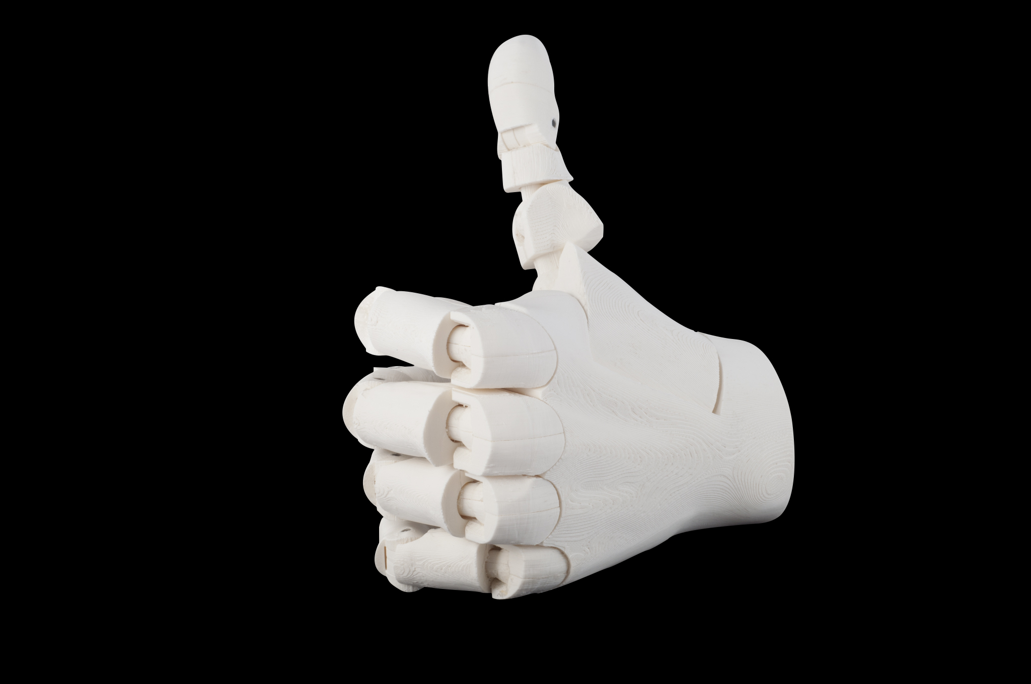 3D Printed Hand 3D Printed Hand