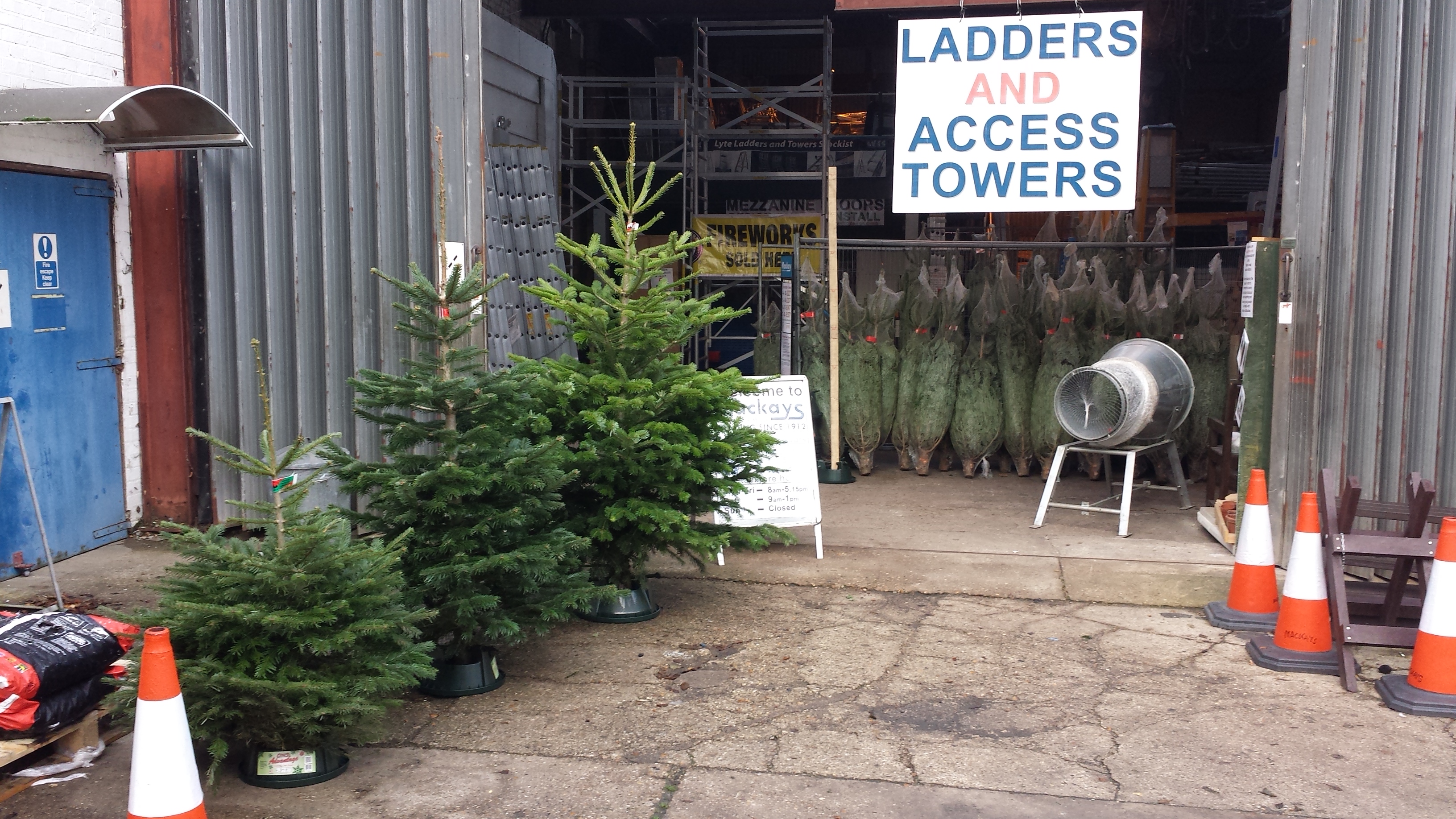 Christmas Tree Care Christmas Tree Care