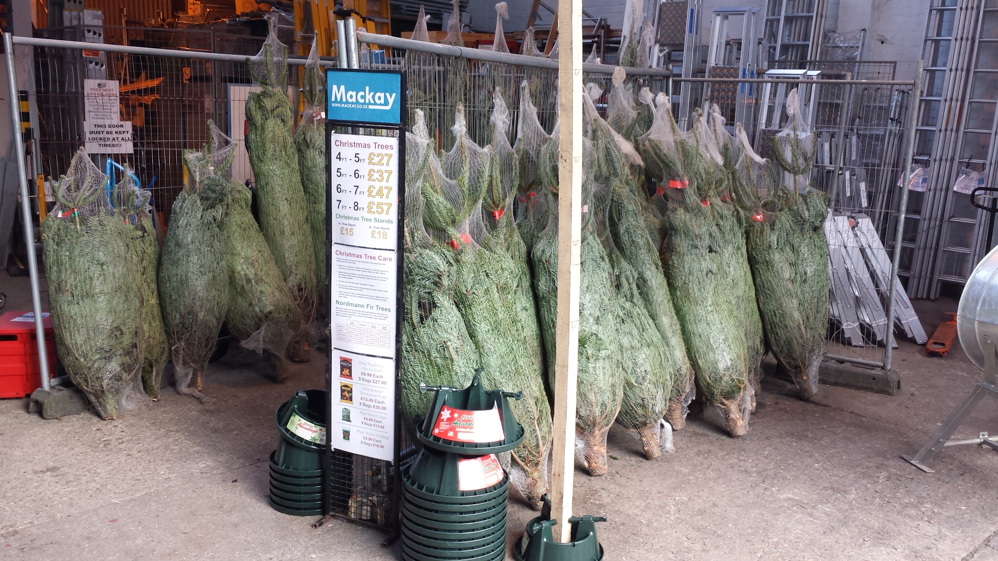 Christmas Tree Care