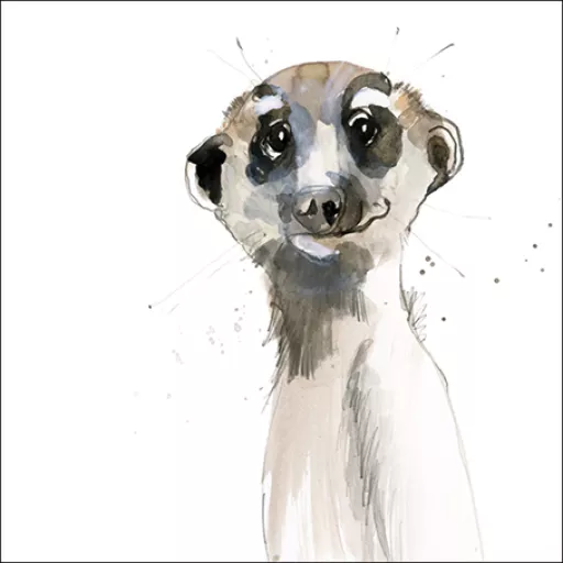 Animal Magic - Meerkat Birthday Card