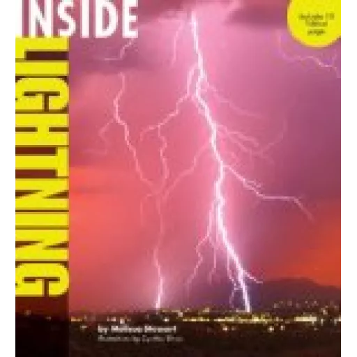 Inside Lightning