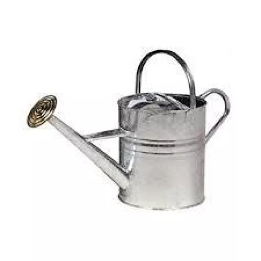 Parasene Watering Can 9ltr Galvanised 4966380